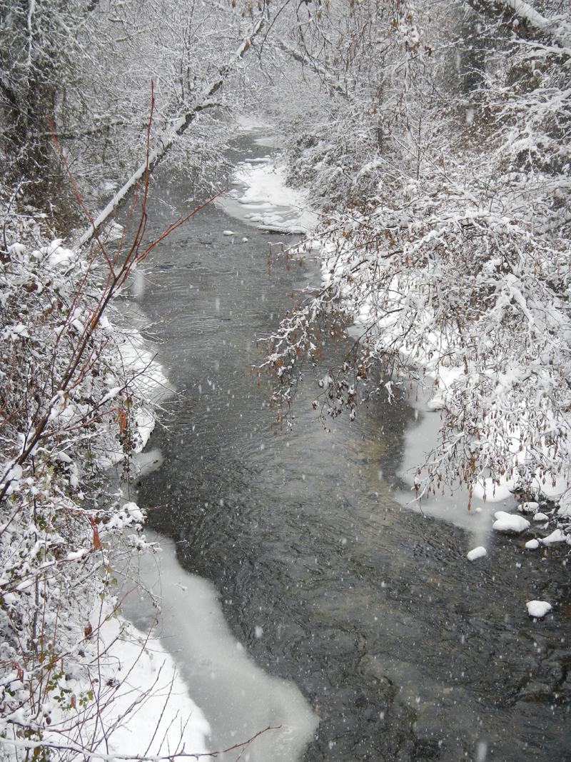 trinity river tributary snow